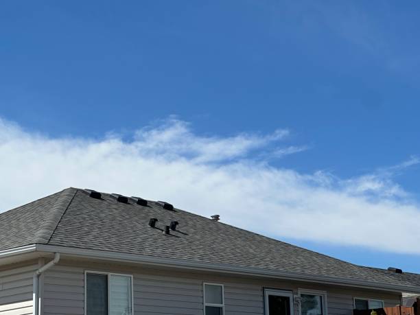 Asphalt Shingles Roofing in Trafford, PA